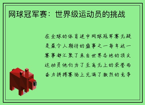 网球冠军赛：世界级运动员的挑战